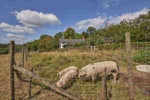 Land- click for photo gallery